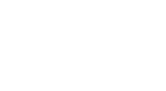 Spinology Logo